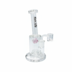 RC009 PISA - Image 10